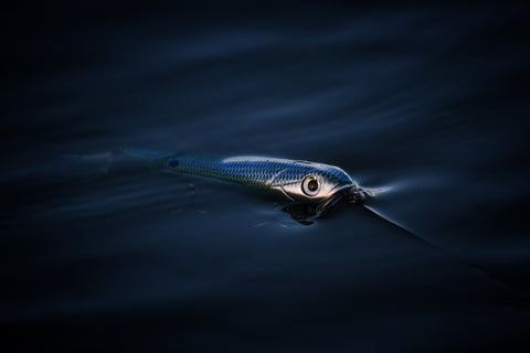 Livingston Lures - Tecnología avanzada en señuelos de pesca